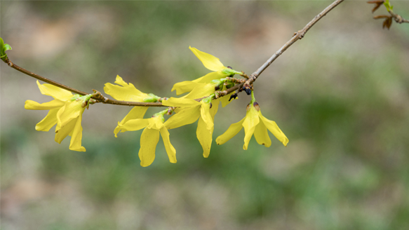 人勤春來早 實幹啓新程(圖11) 微信圖片_20230207093522.png