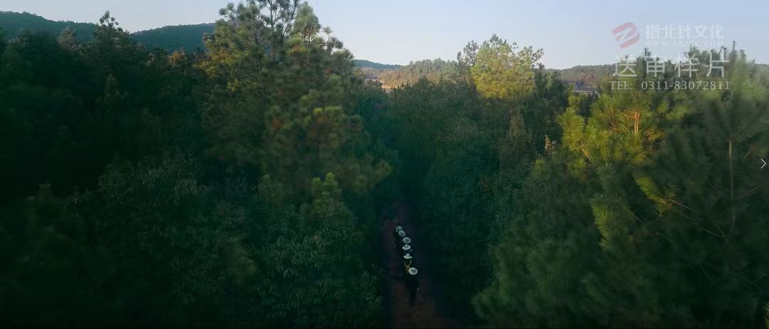 舌尖上的中藥:隐藏在山林間的驚喜(圖1) 01.jpg