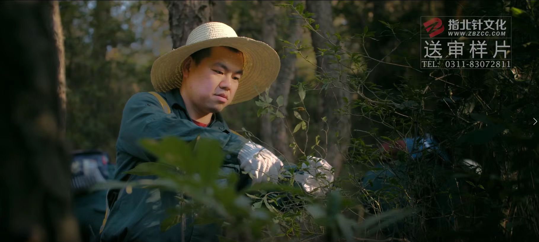 舌尖上的中藥:隐藏在山林間的驚喜(圖3) 03.jpg