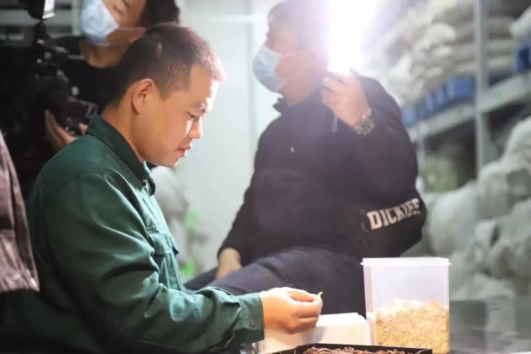 舌尖上的中藥:隐藏在山林間的驚喜(圖11) 11.jpg