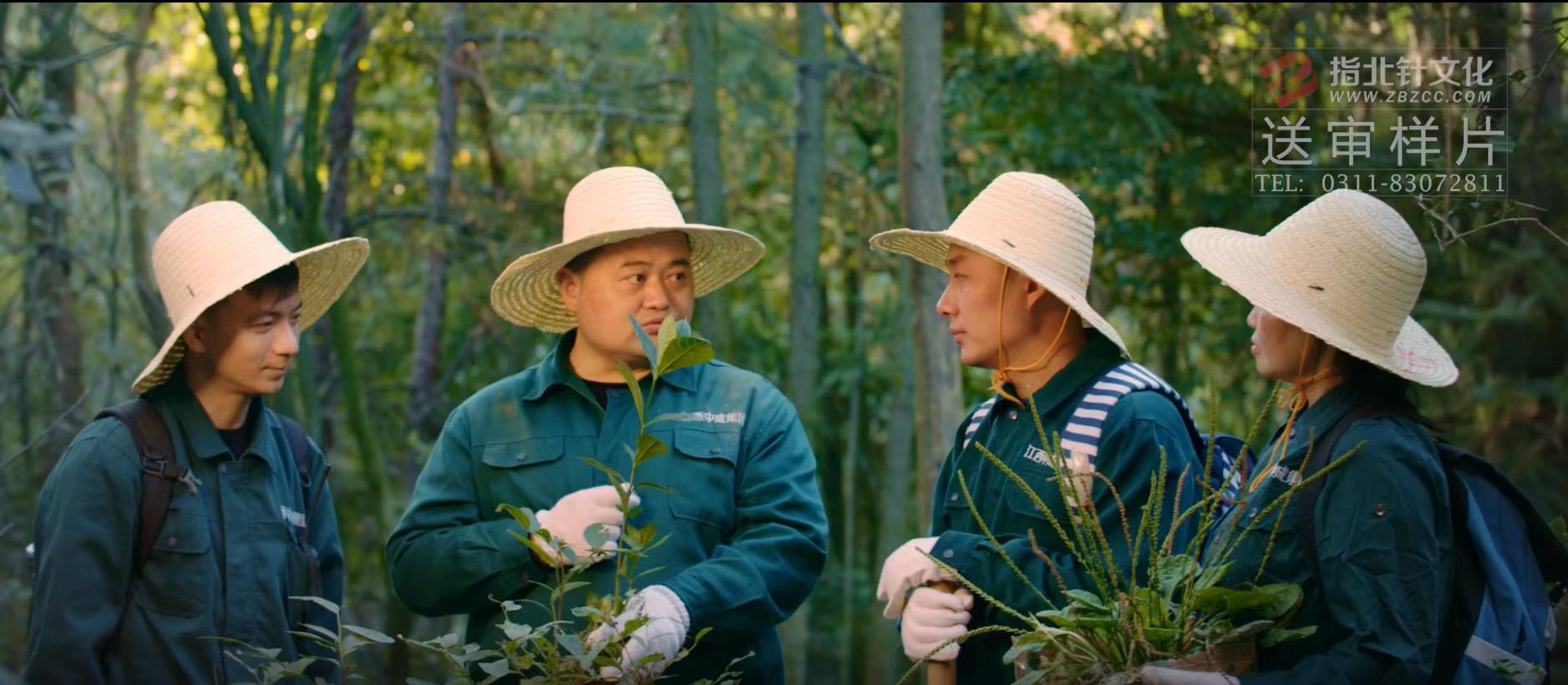 舌尖上的中藥:隐藏在山林間的驚喜(圖13) 13.jpg