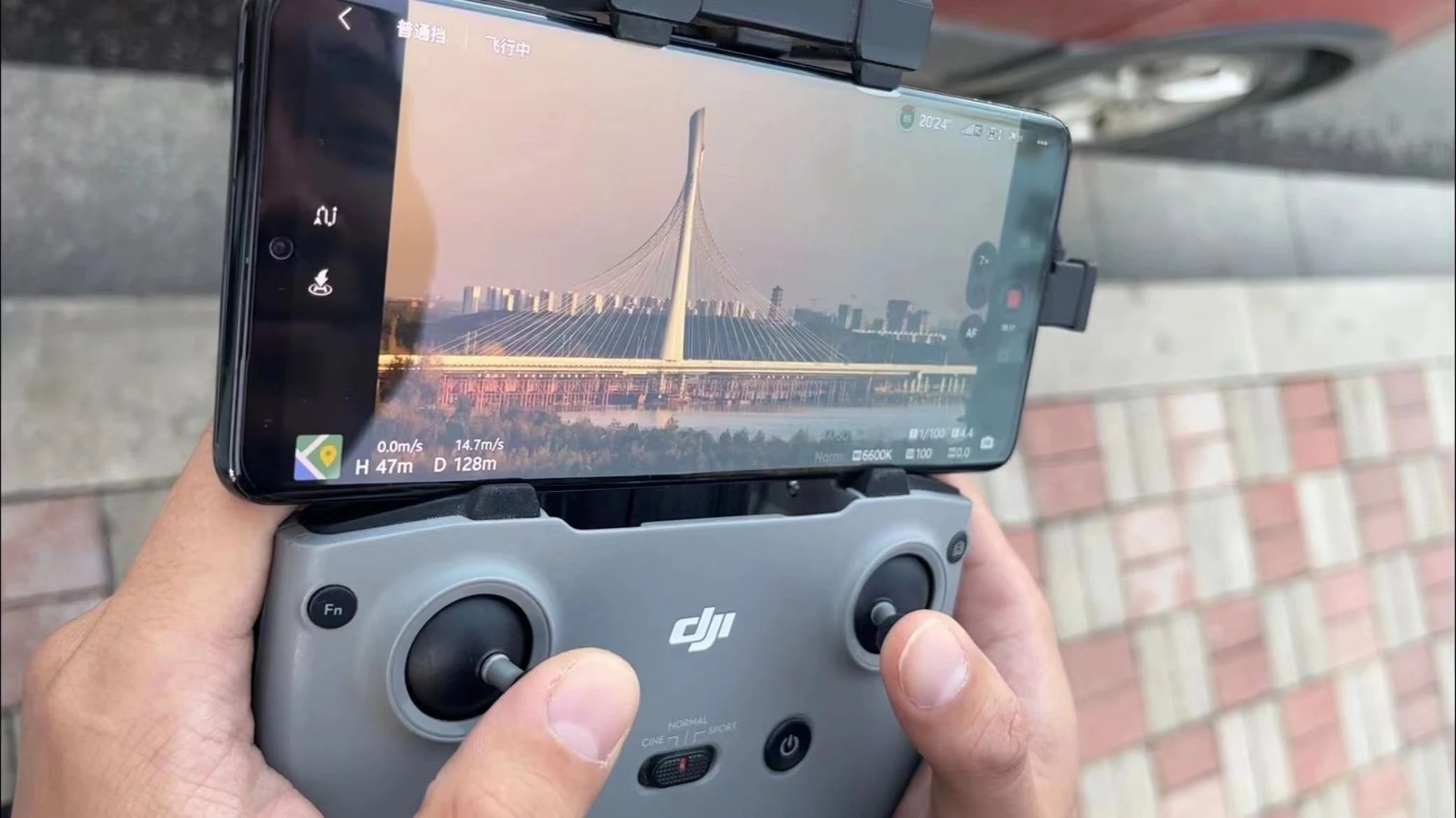 今日立冬 | 迎寒而立 奮鬥不息(圖15) 今日立冬 | 迎寒而立 奮鬥不息(圖15)