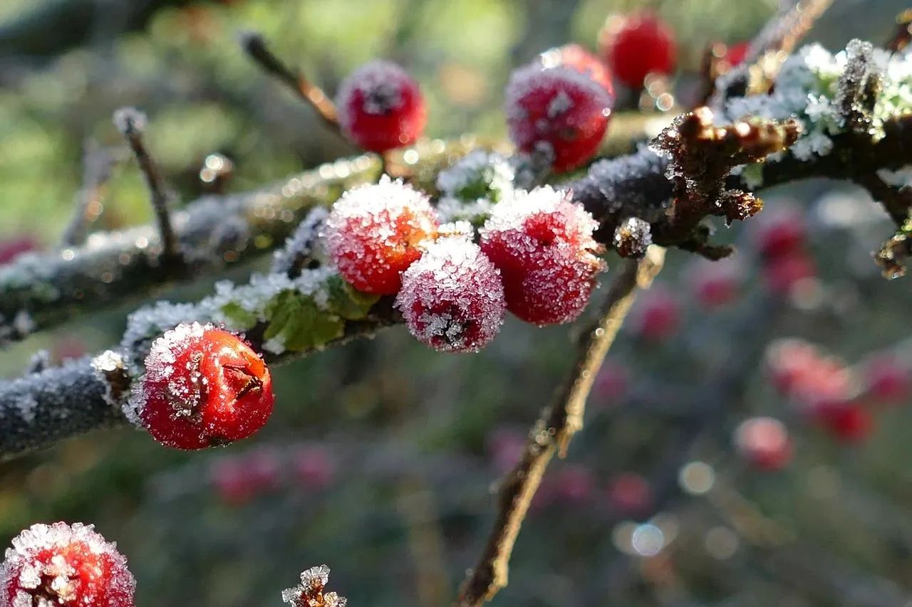 冬至借勢文案 美好(hǎo)如約而至(圖6) 5.jpg